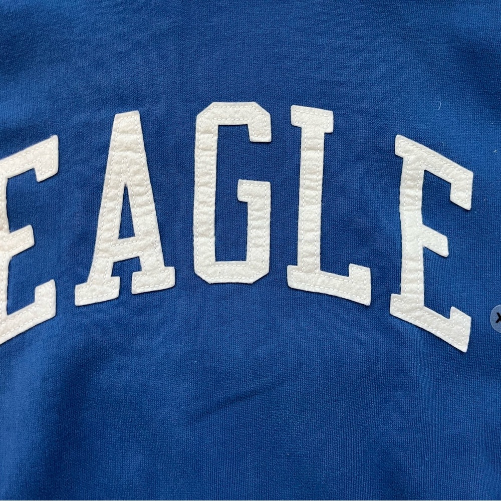 NWOT-American Eagle Blue Logo Hoodie Size Small - Picture 4 of 5